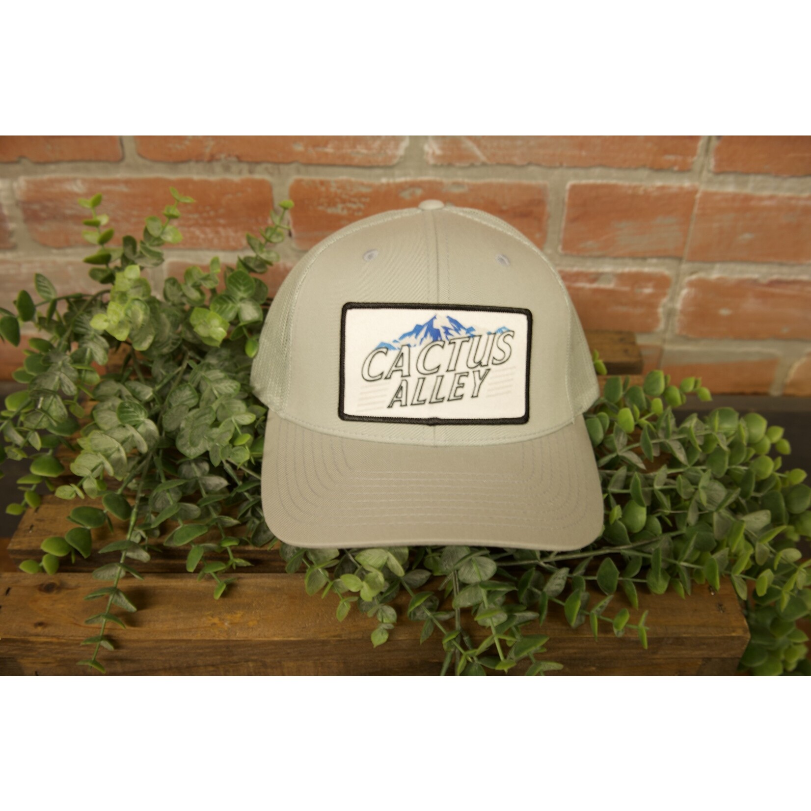 Cactus Alley Cactus Alley The Stones Patch Snapback Hat