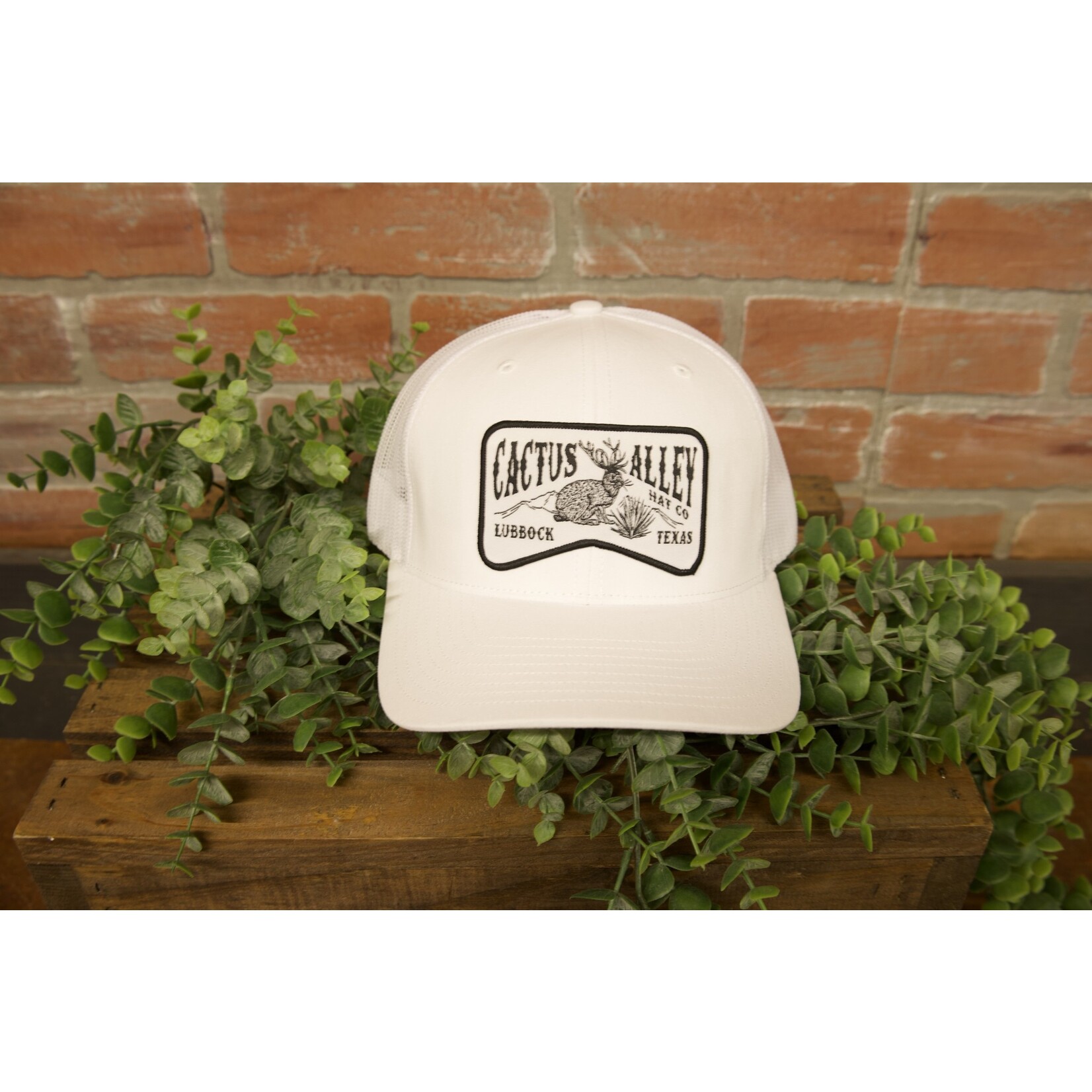 Cactus Alley Cactus Alley Jackalope Patch Snapback Hat