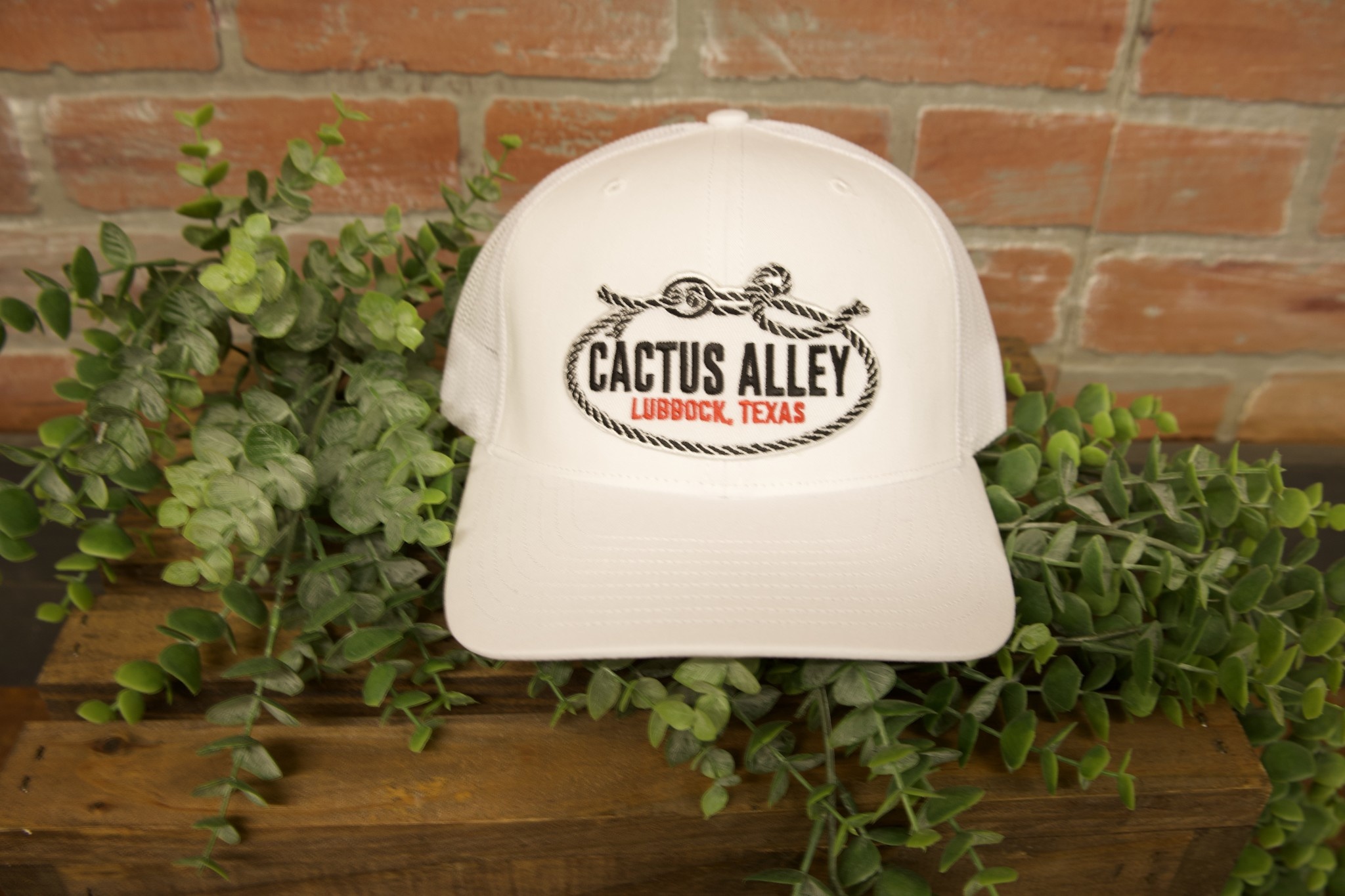 Cactus Alley Flank Rope Patch Snapback Hat EZN Storage