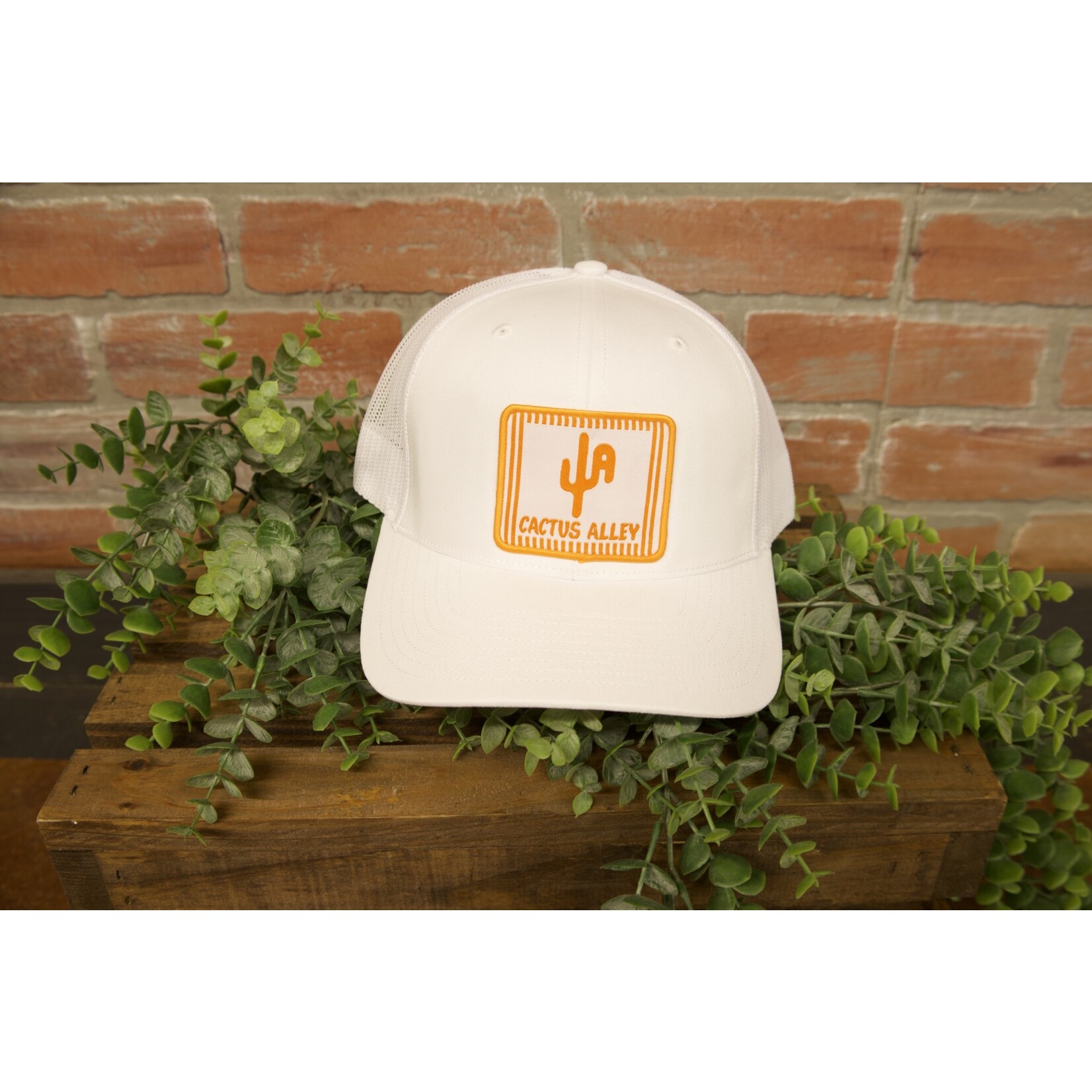 Cactus Alley Cactus Alley WhataChicken Patch Snapback Hat