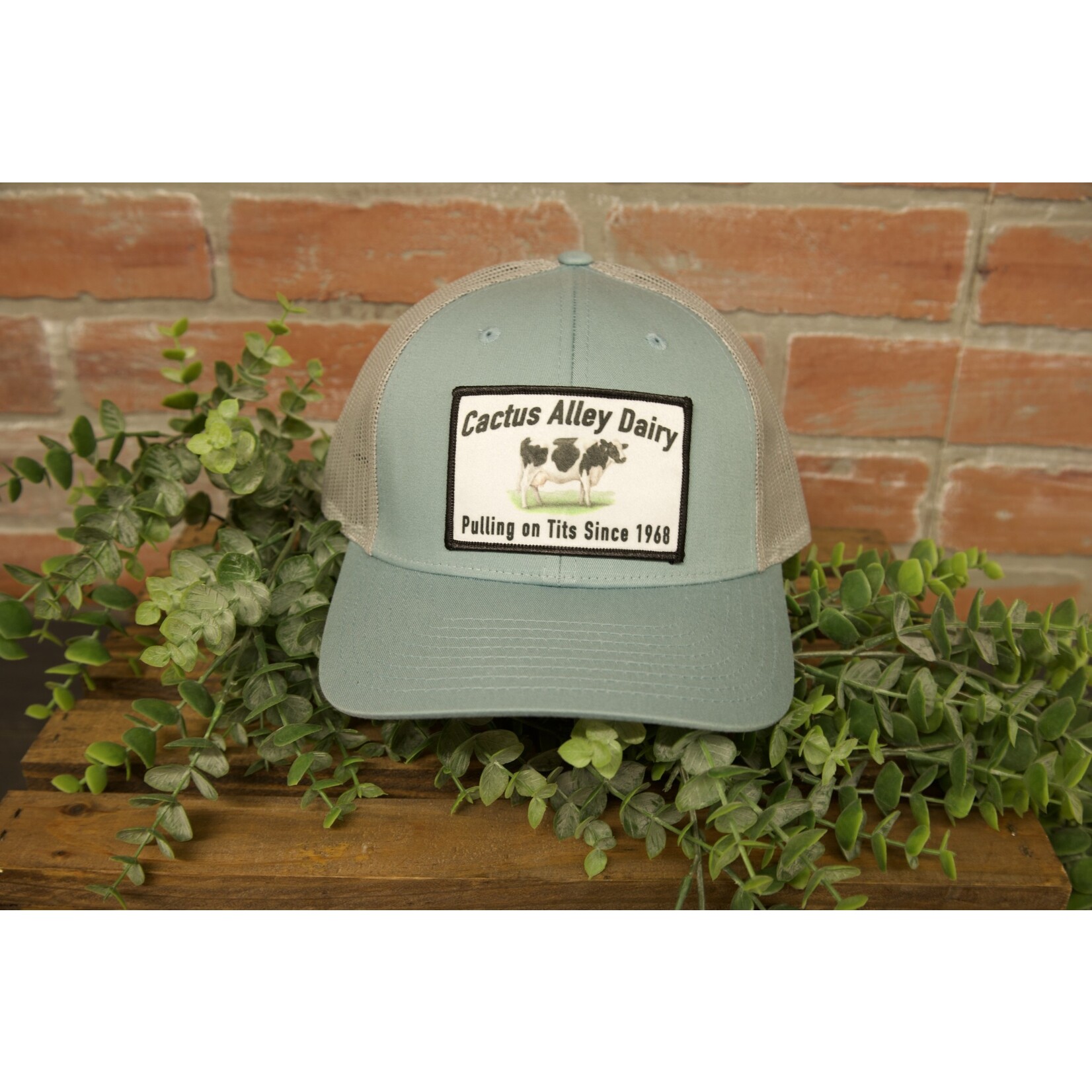 Cactus Alley Cactus Alley Dairy Patch Snapback Hat