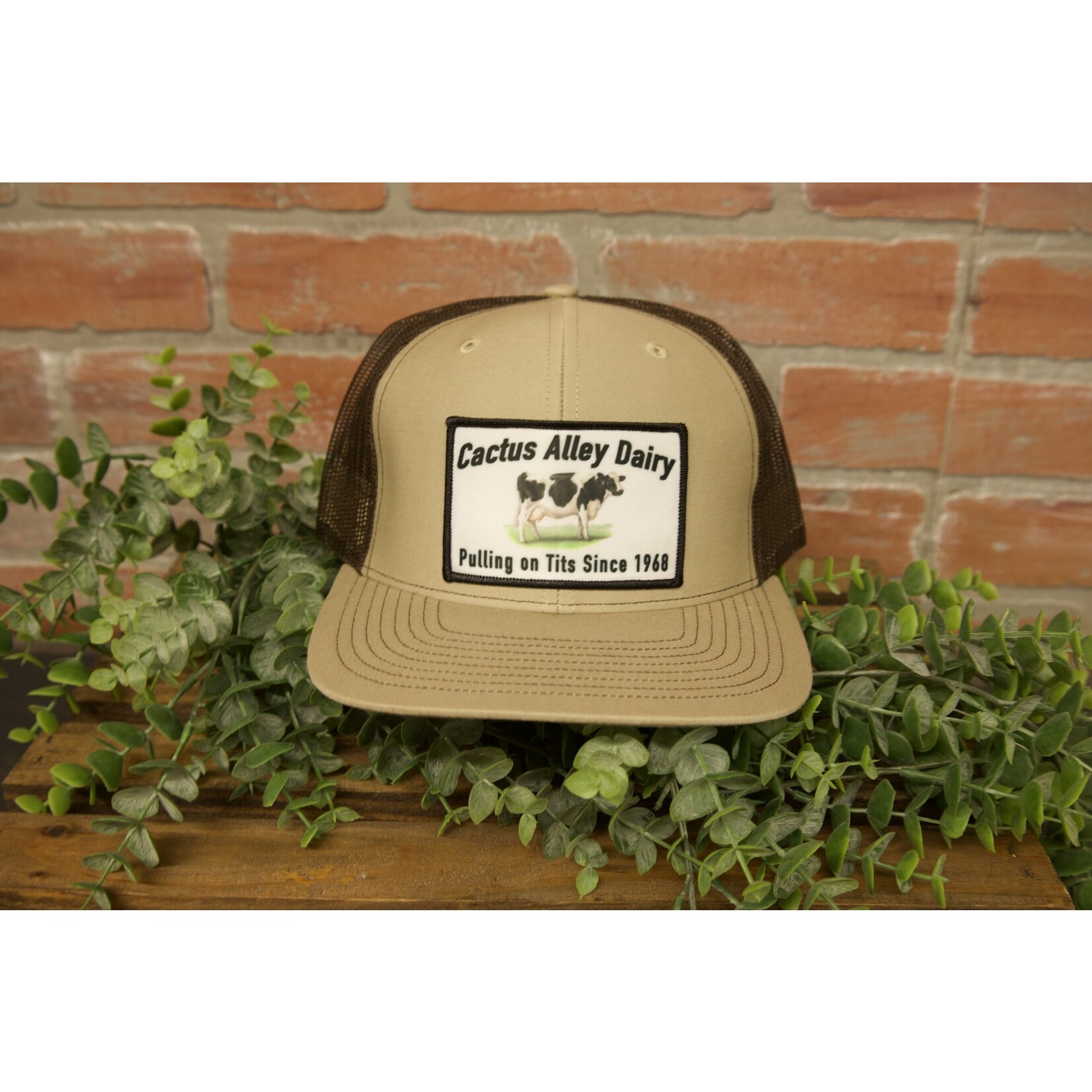 Cactus Alley Cactus Alley Dairy Patch Snapback Hat