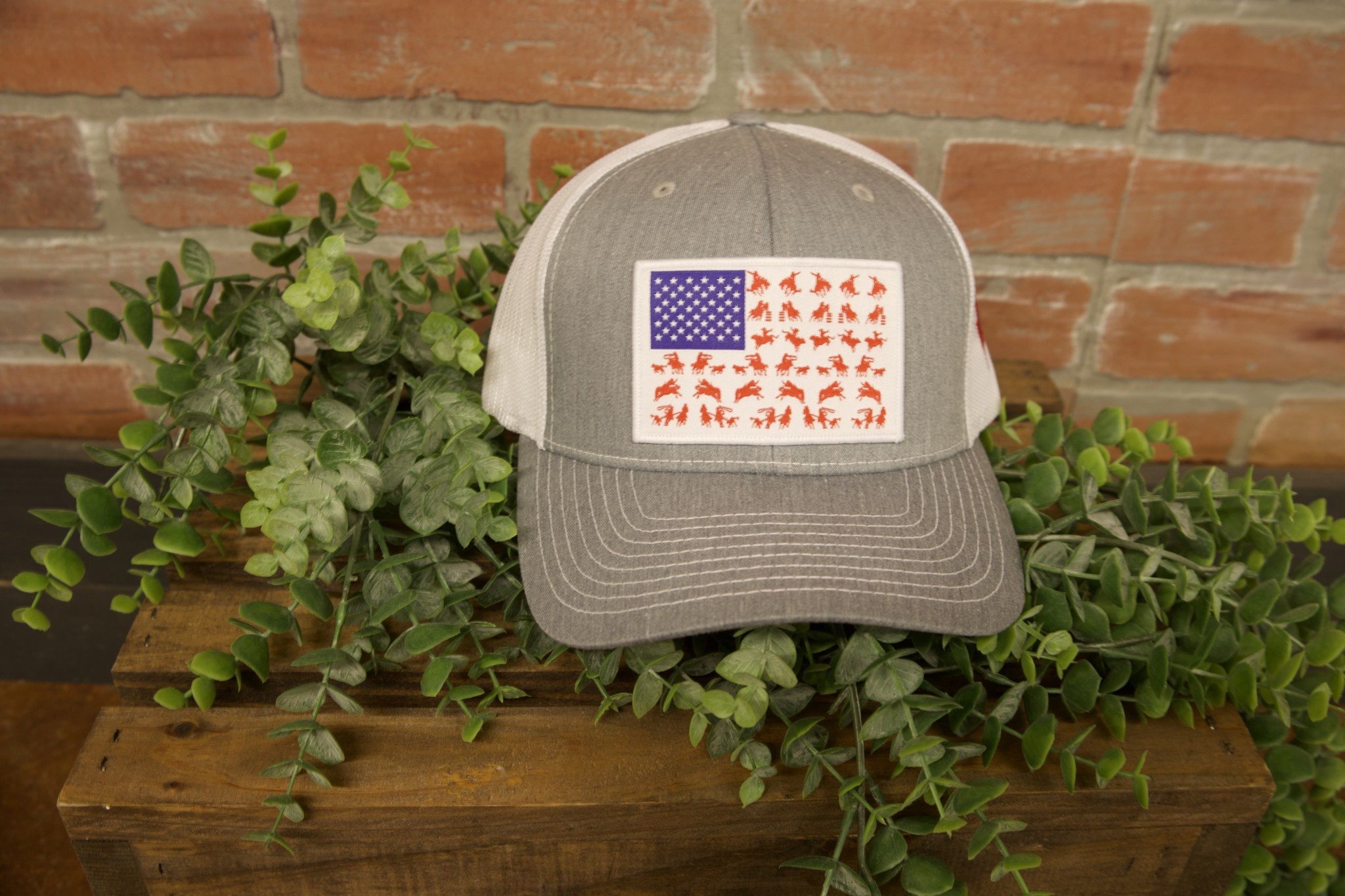 Cactus Alley Rodeo Patch Snapback Hat EZN Storage