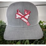 Dixie Fowl Company Dixie Fowl Company AL Whitetail Buck Snapback Hat