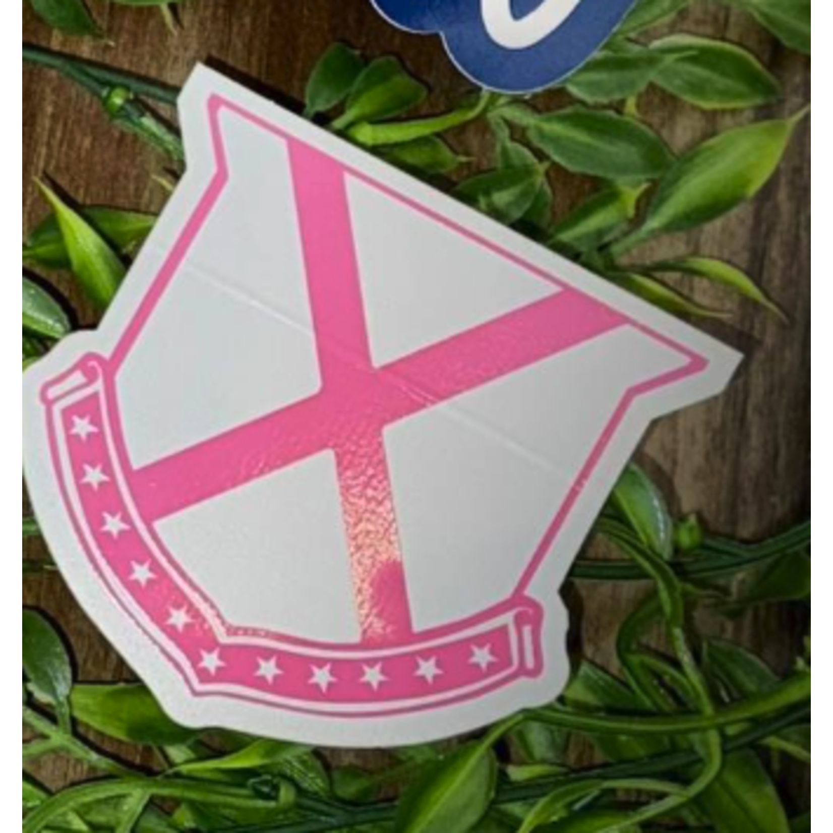 OLD ROW Old Row Outdoors Rad Chicks Decals