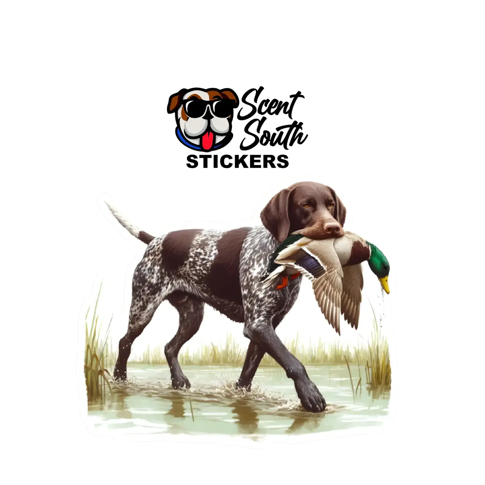 Scent South Scent South Decals