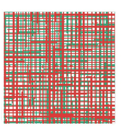 Vietri Papersoft Plaid Green & Red Dinner Napkins - 20 Pack
