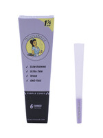 BLAZY SUSAN BLAZY SUSAN PURPLE CONES 1 1/4