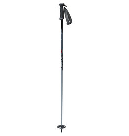 SWIX SWIX SKI POLES TECH LITE PRO GRAY