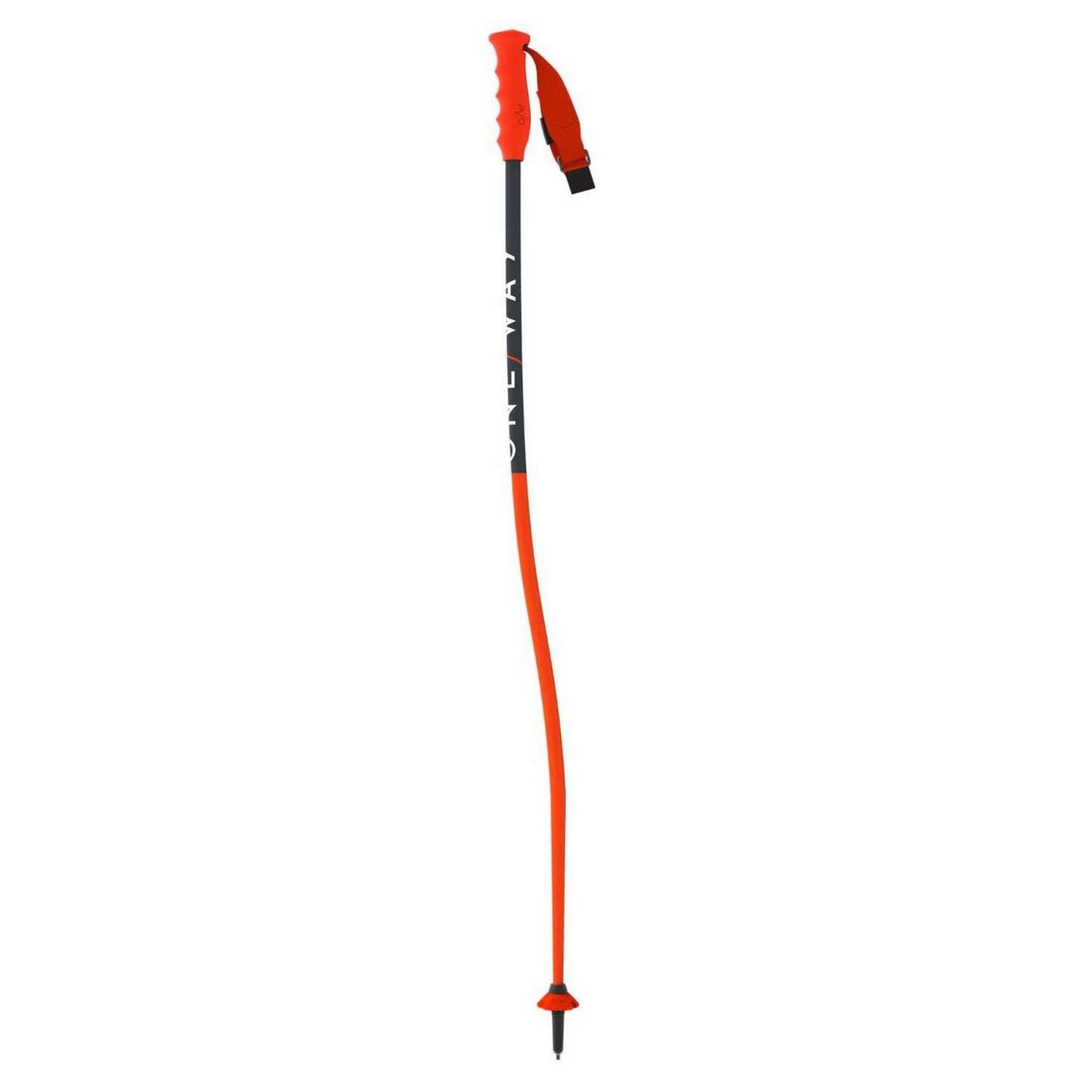LEASE-SEASON-JUNIOR U12 x3 SKI SL/GS/FR PACKAGE