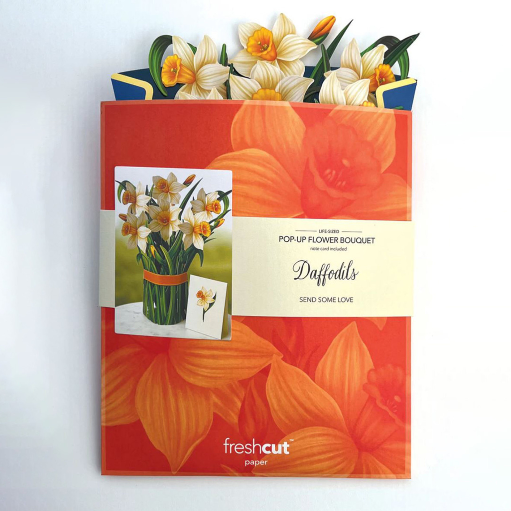 Fresh Cut Paper Daffodils