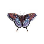 Red Spotted Purple Butterfly Pin