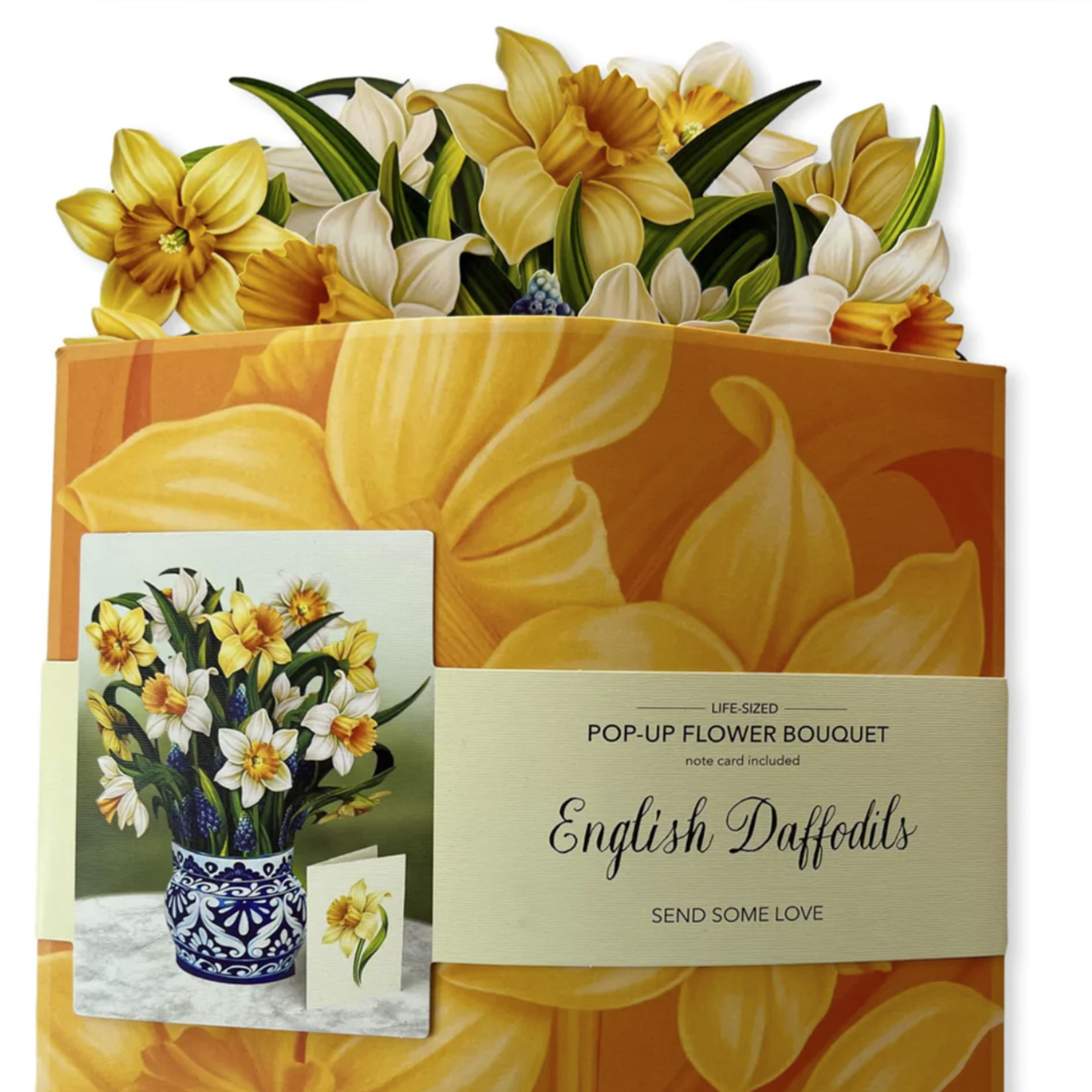 Fresh Cut Paper English Daffodils