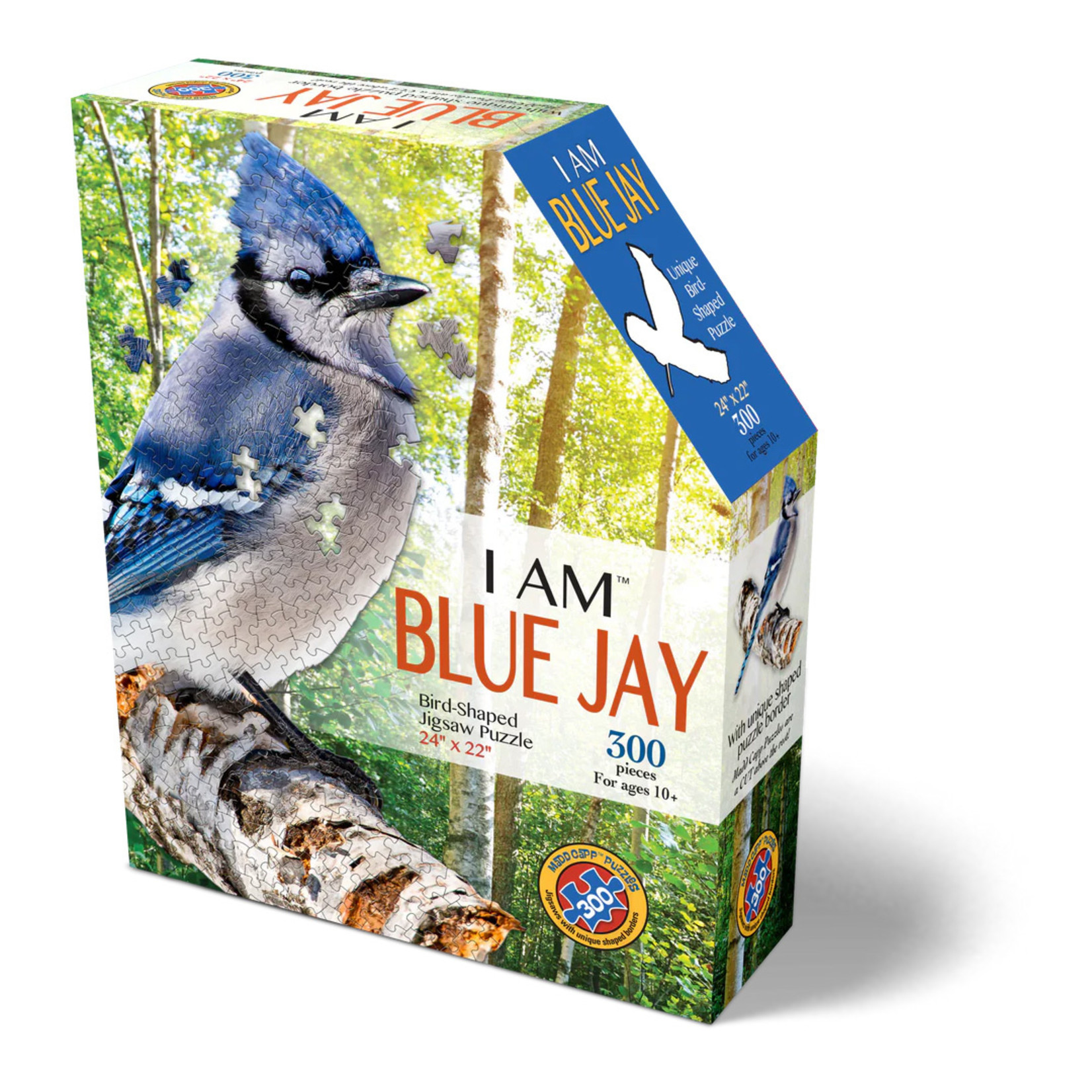 I AM BLUE JAY Puzzle | 300 Pieces