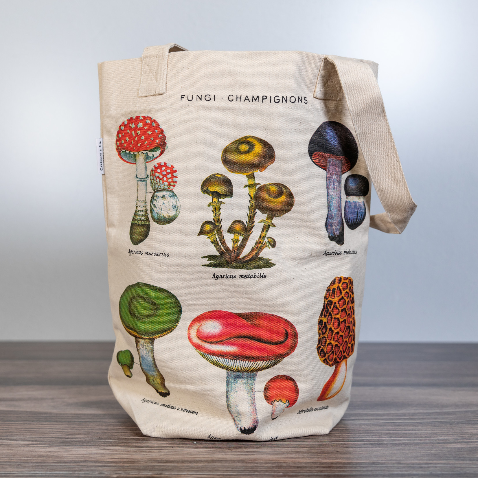 Tote Bag | Mushrooms