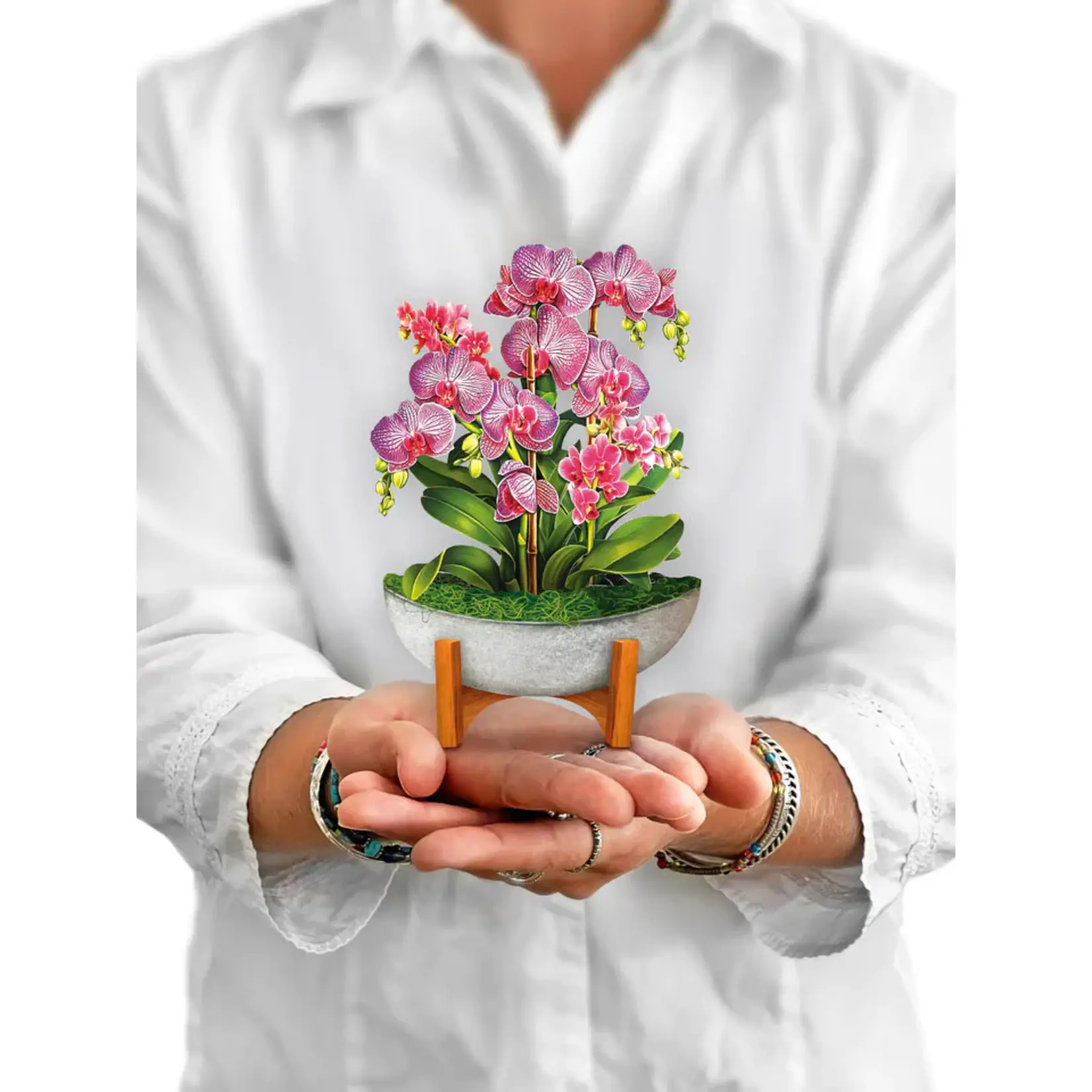 Mini Orchid Oasis Pop-Up Card