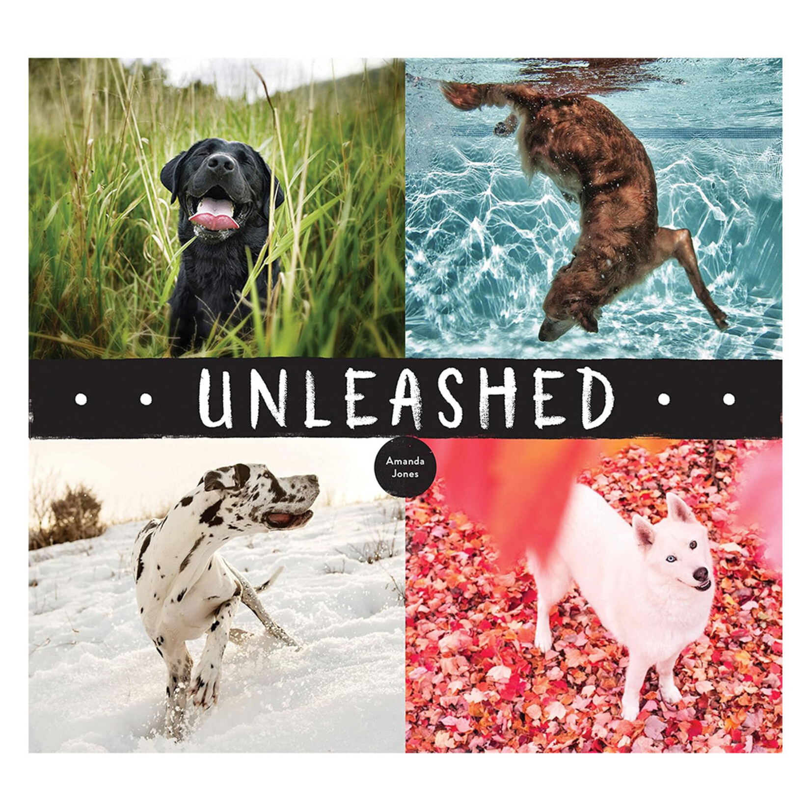 Unleashed by Amanda Jones