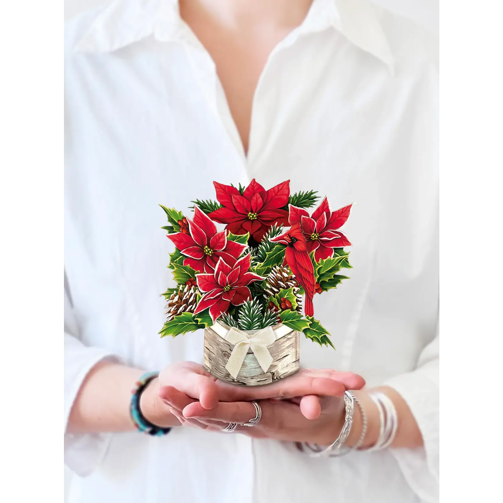 Fresh Cut Paper Birch Poinsettia  Mini