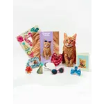 Fresh Cut Paper Orange Tabby Pop-Up Card