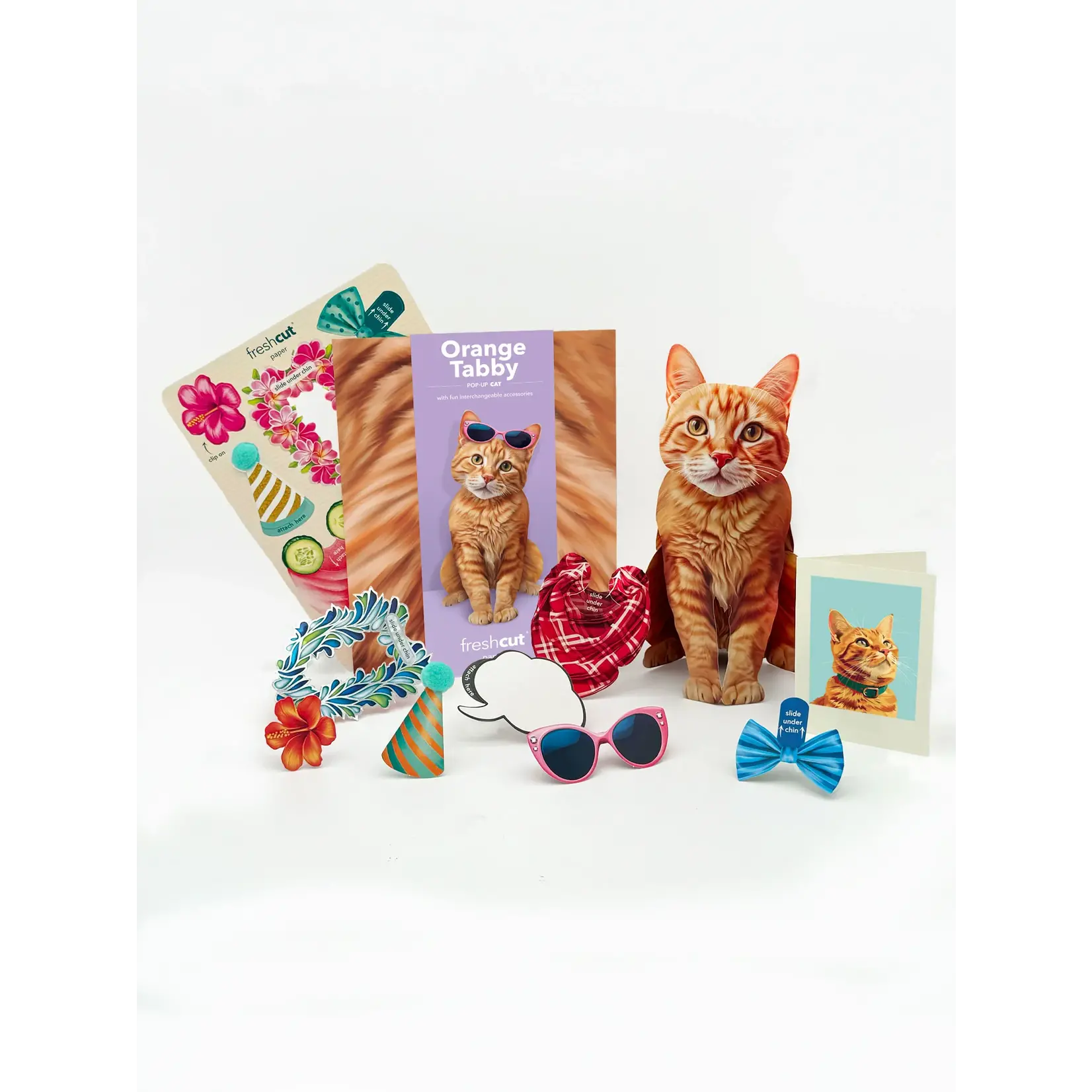 Fresh Cut Paper Orange Tabby Pop-Up Card