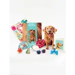 Fresh Cut Paper Golden Retriever Pop-Up Card