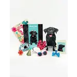 Fresh Cut Paper Black Lab Pop-Up Card