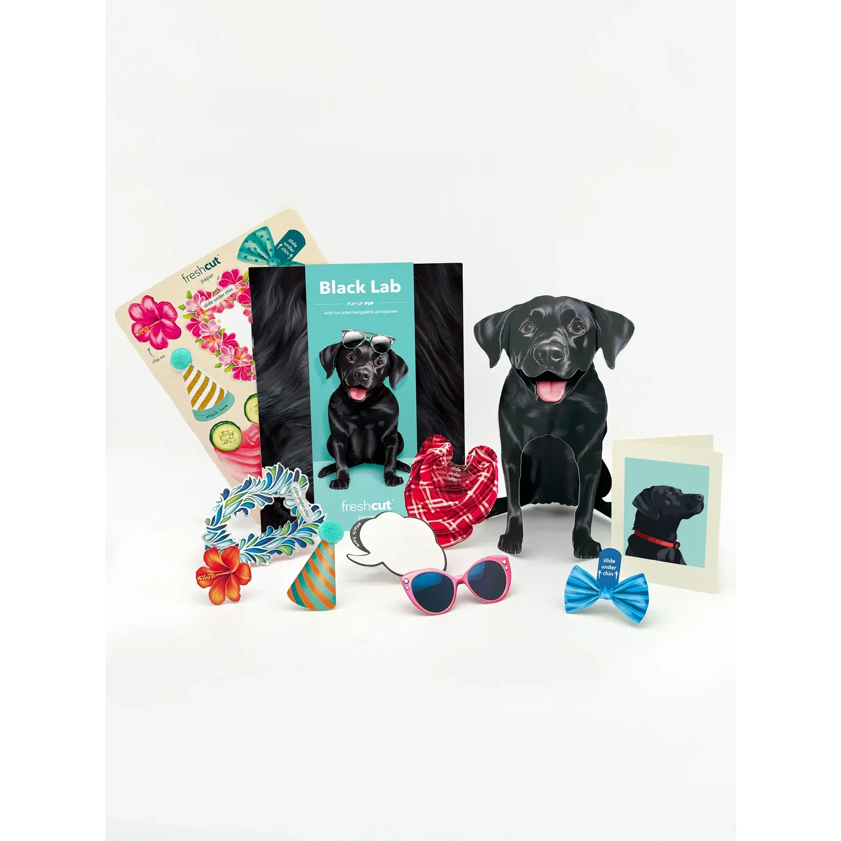 Fresh Cut Paper Black Lab Pop-Up Card