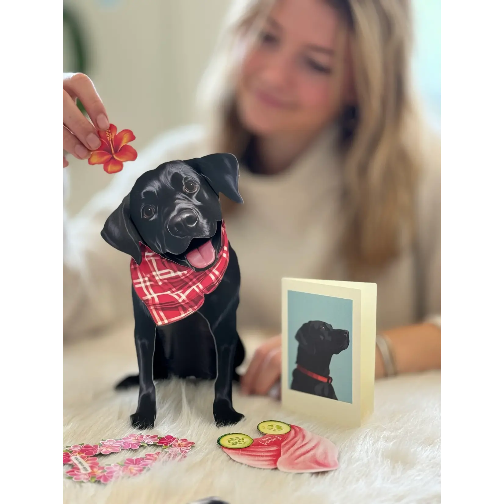 Fresh Cut Paper Black Lab Pop-Up Card
