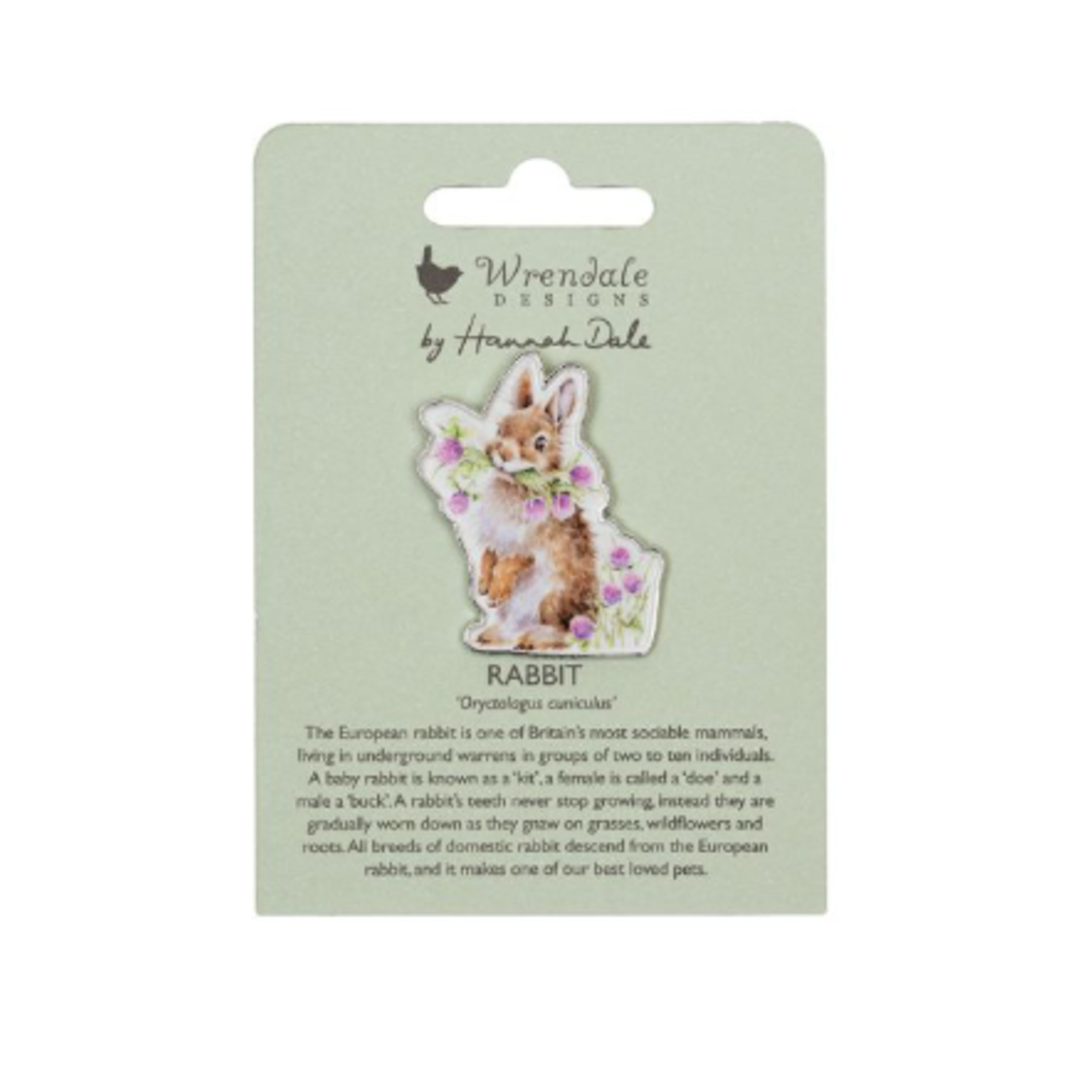 Head Clover Heels Rabbit Pin