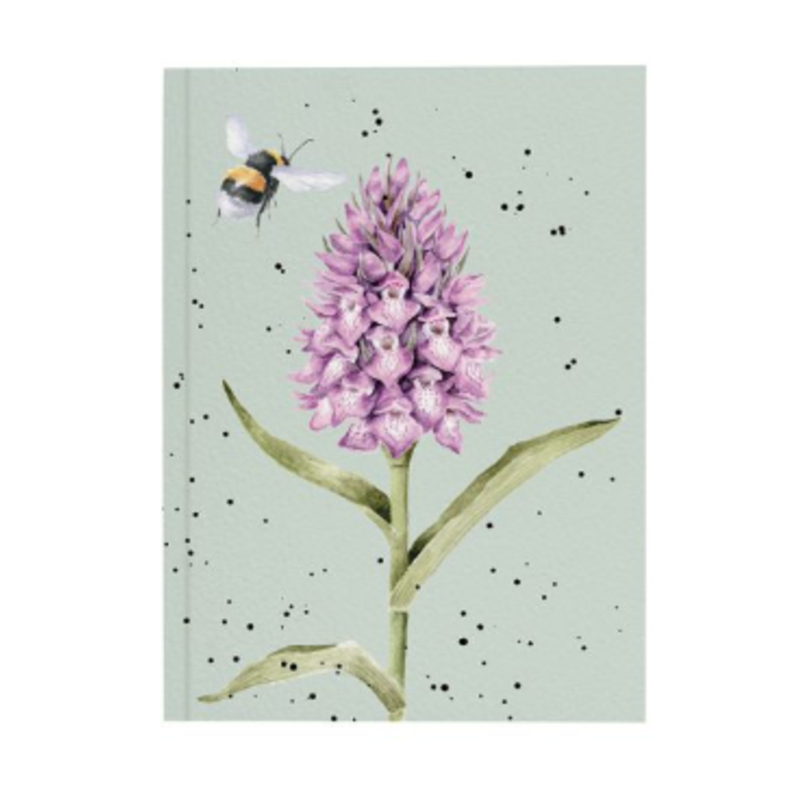 A6 Notebook | Marsh Orchid