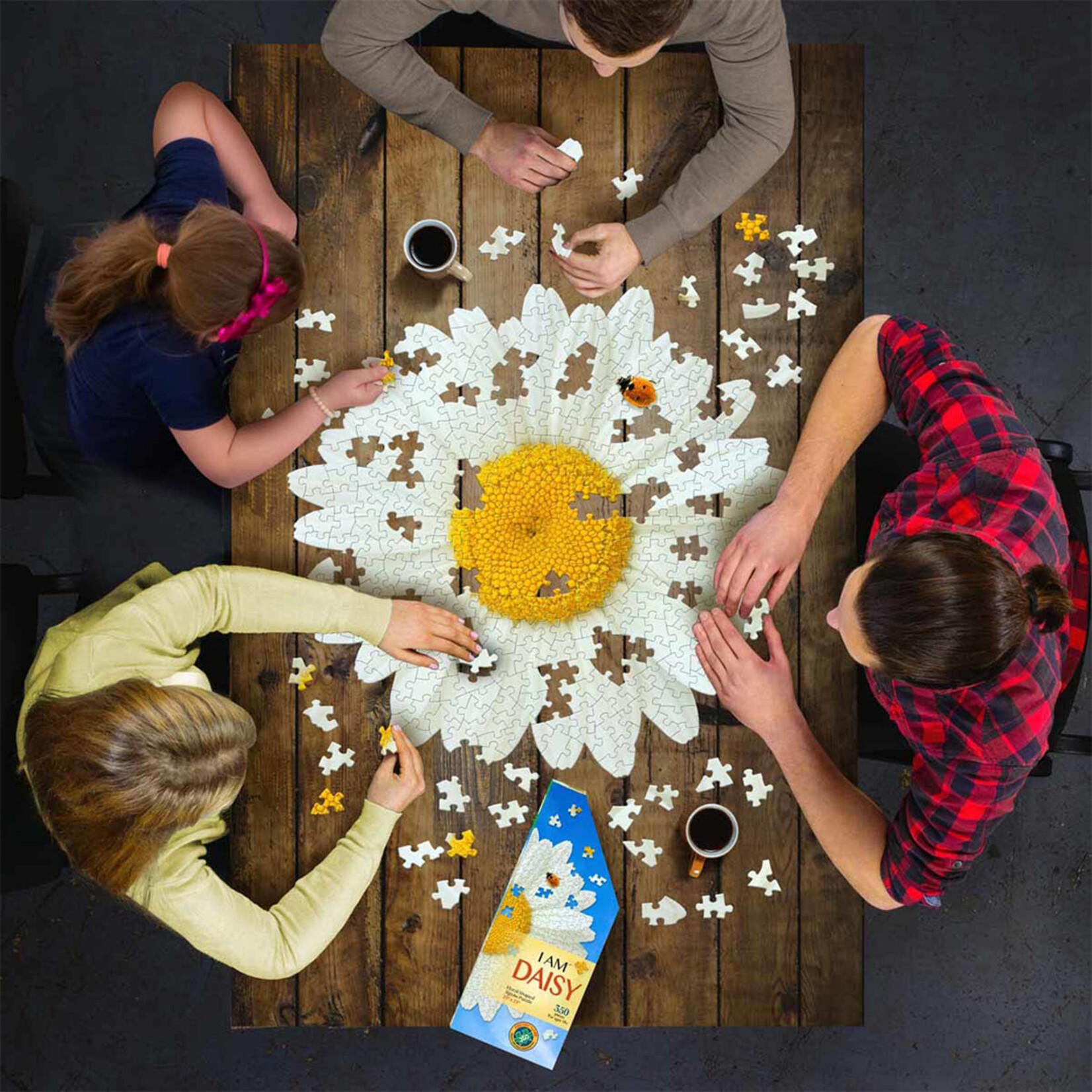 E11even, LLC I AM DAISY Puzzle | 350 Pieces