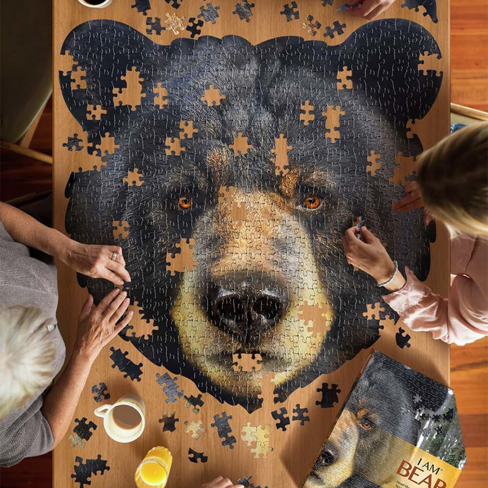 I AM BEAR Puzzle | 550 Pieces