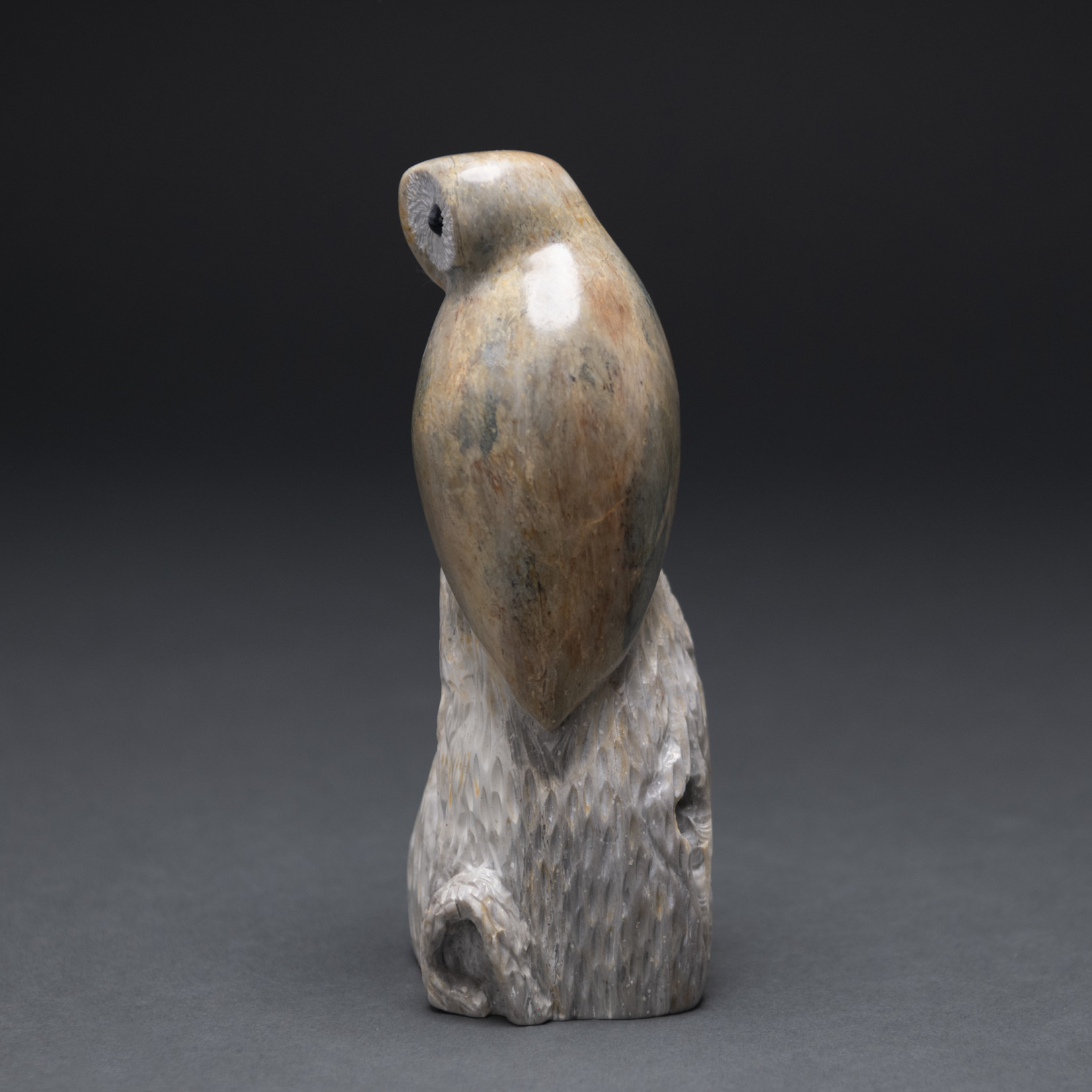 Eddie Lee Perched Owl # 585 - SOLD