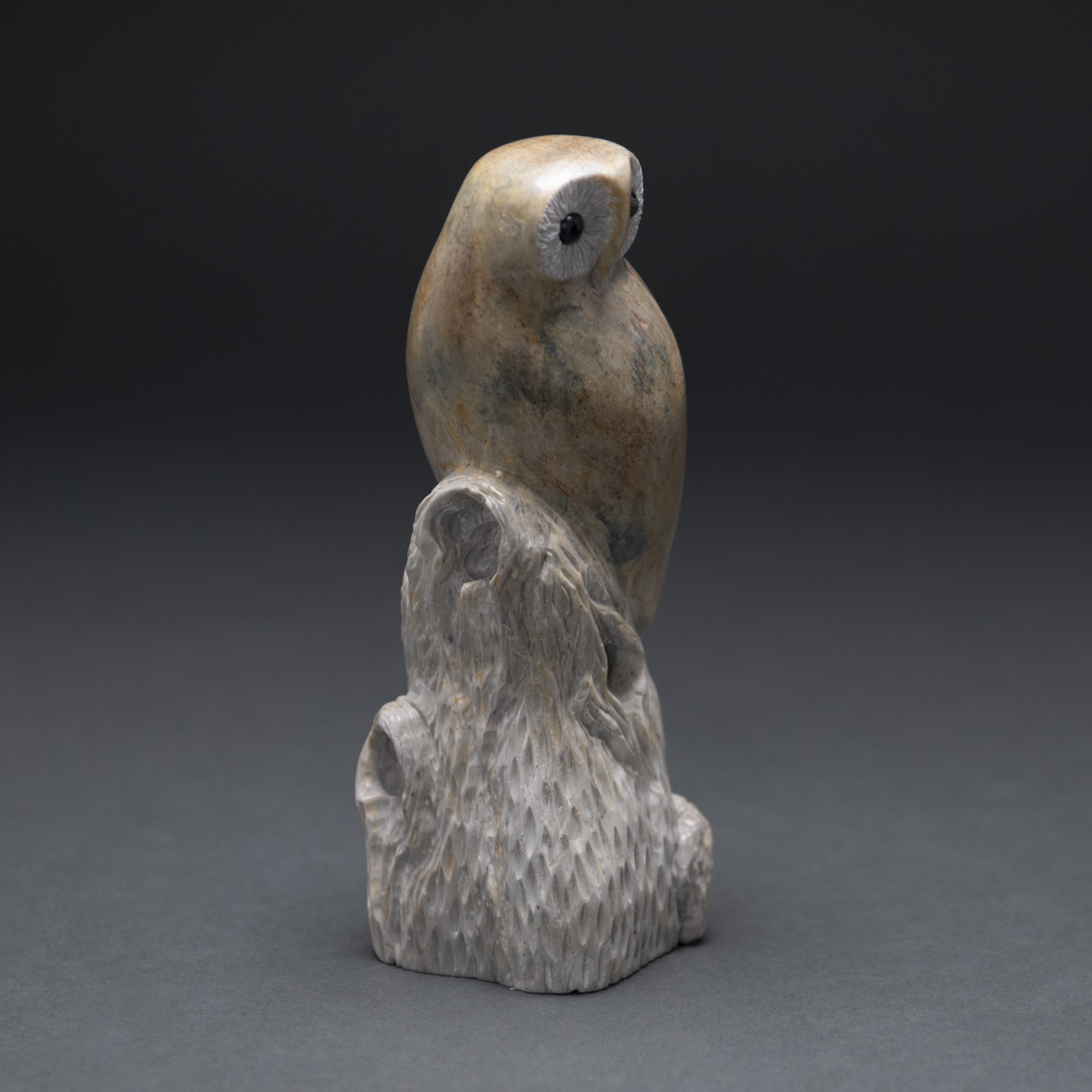 Eddie Lee Perched Owl # 585 - SOLD