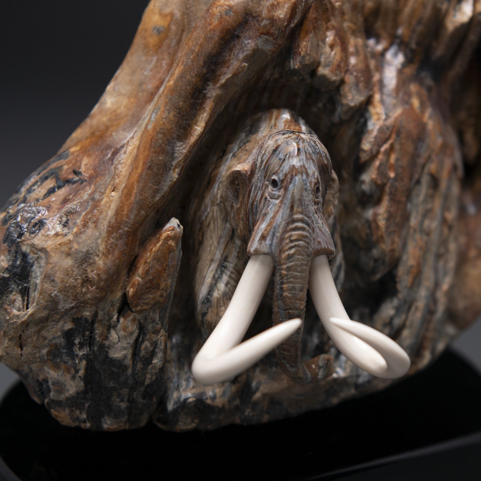 Eddie Lee Re-emerging Mammoth (Fossil Mammoth Molar) #583