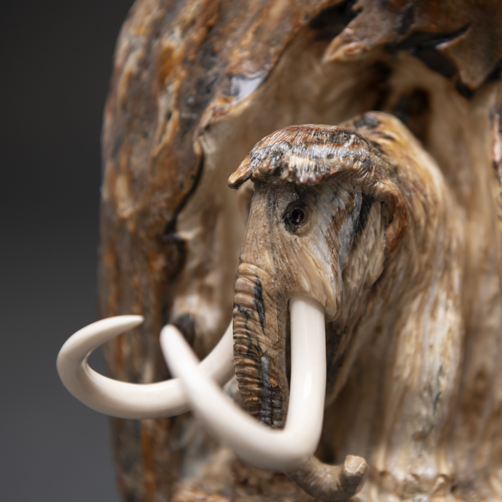 Eddie Lee Re-emerging Mammoth (Fossil Mammoth Molar) #582