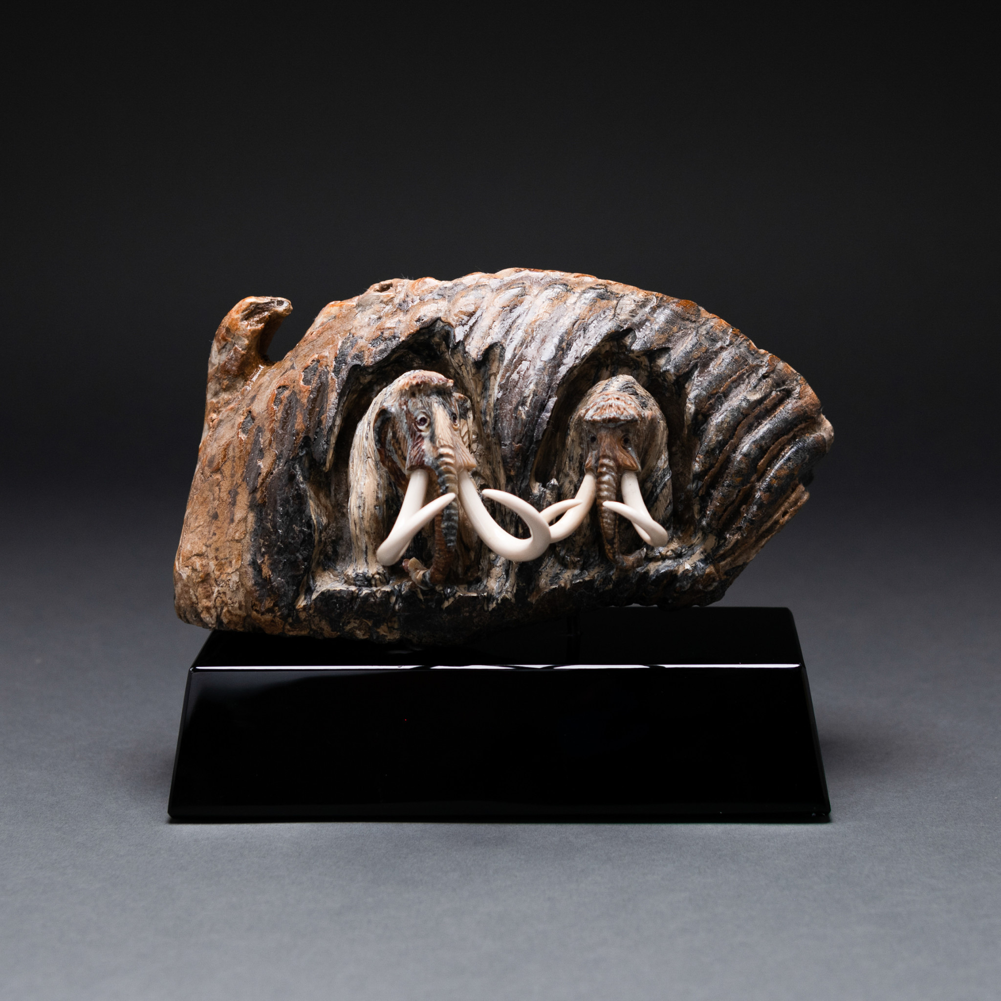 Walking Mammoths #559 - Fossil & Stone