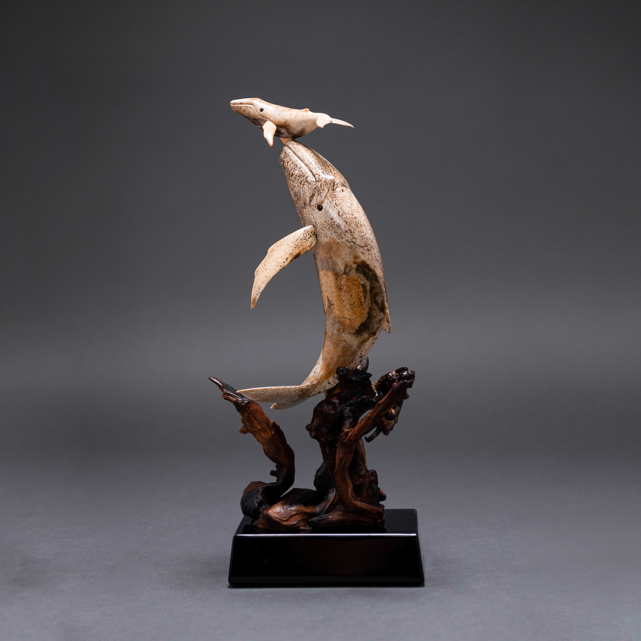 First Breath Humpback Whales #553 - Fossil & Stone