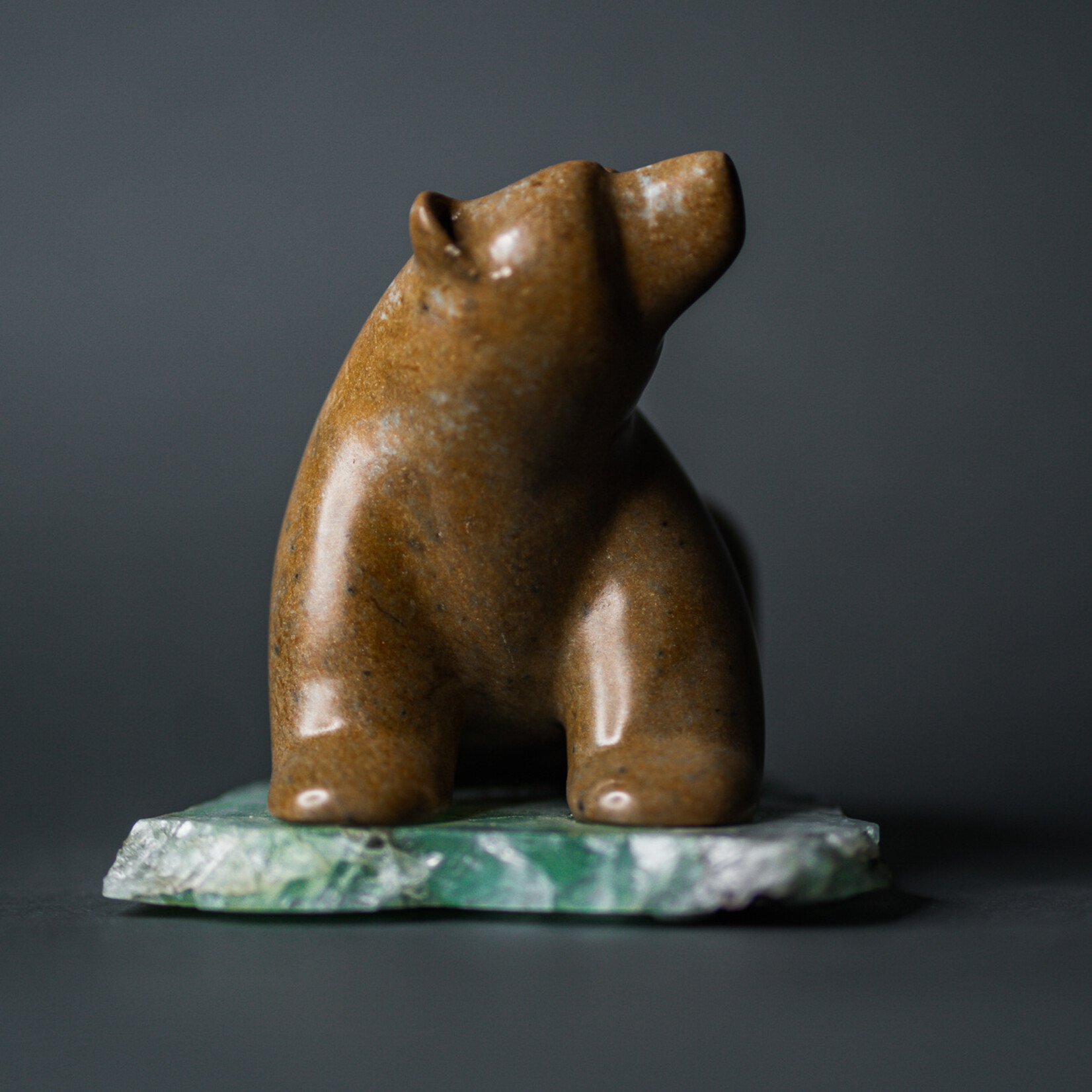 Eddie Lee Sitting Bear #030