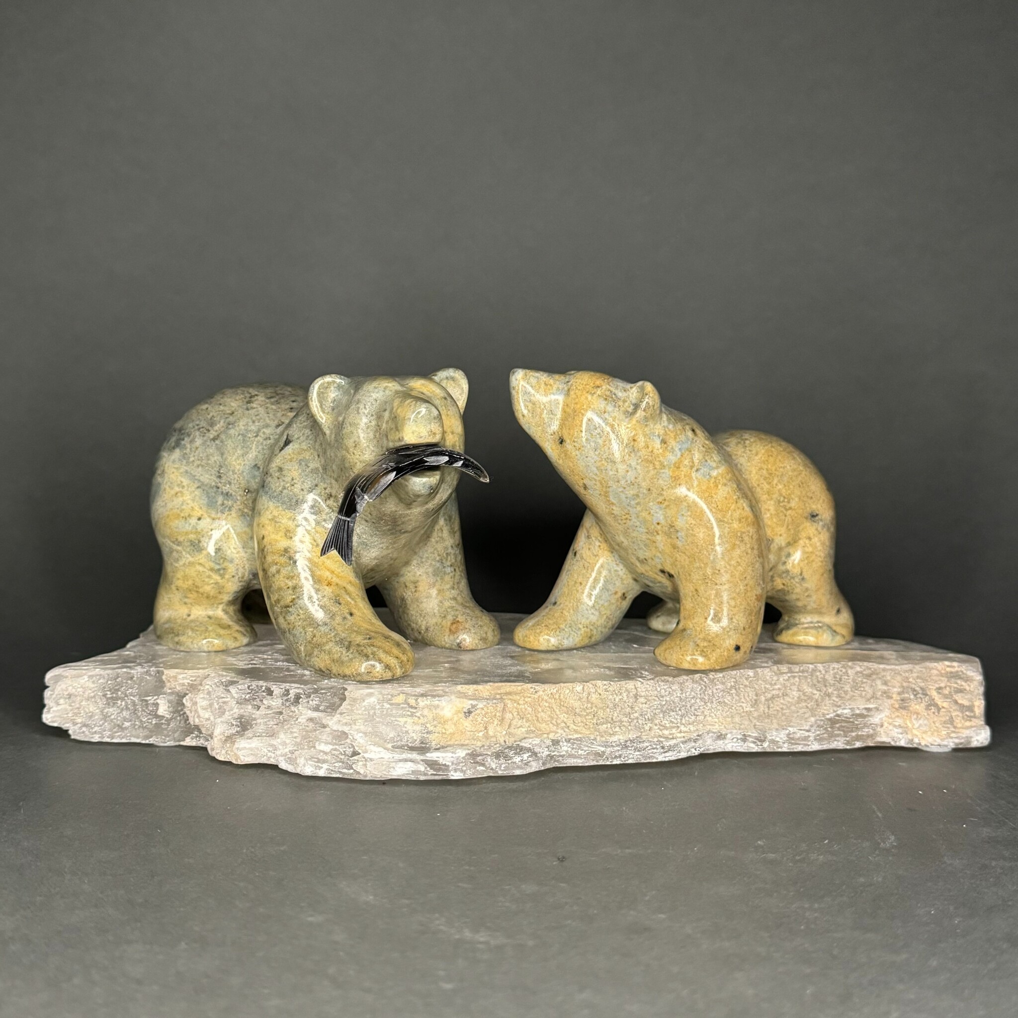 Bear Couple #152 - Fossil & Stone