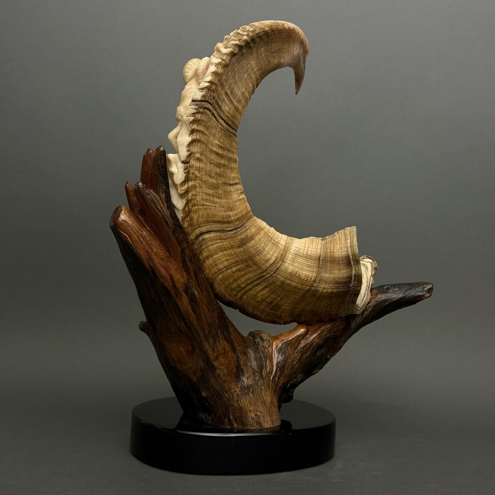 Eddie Lee Alaska Dall Sheep & Raven #262
