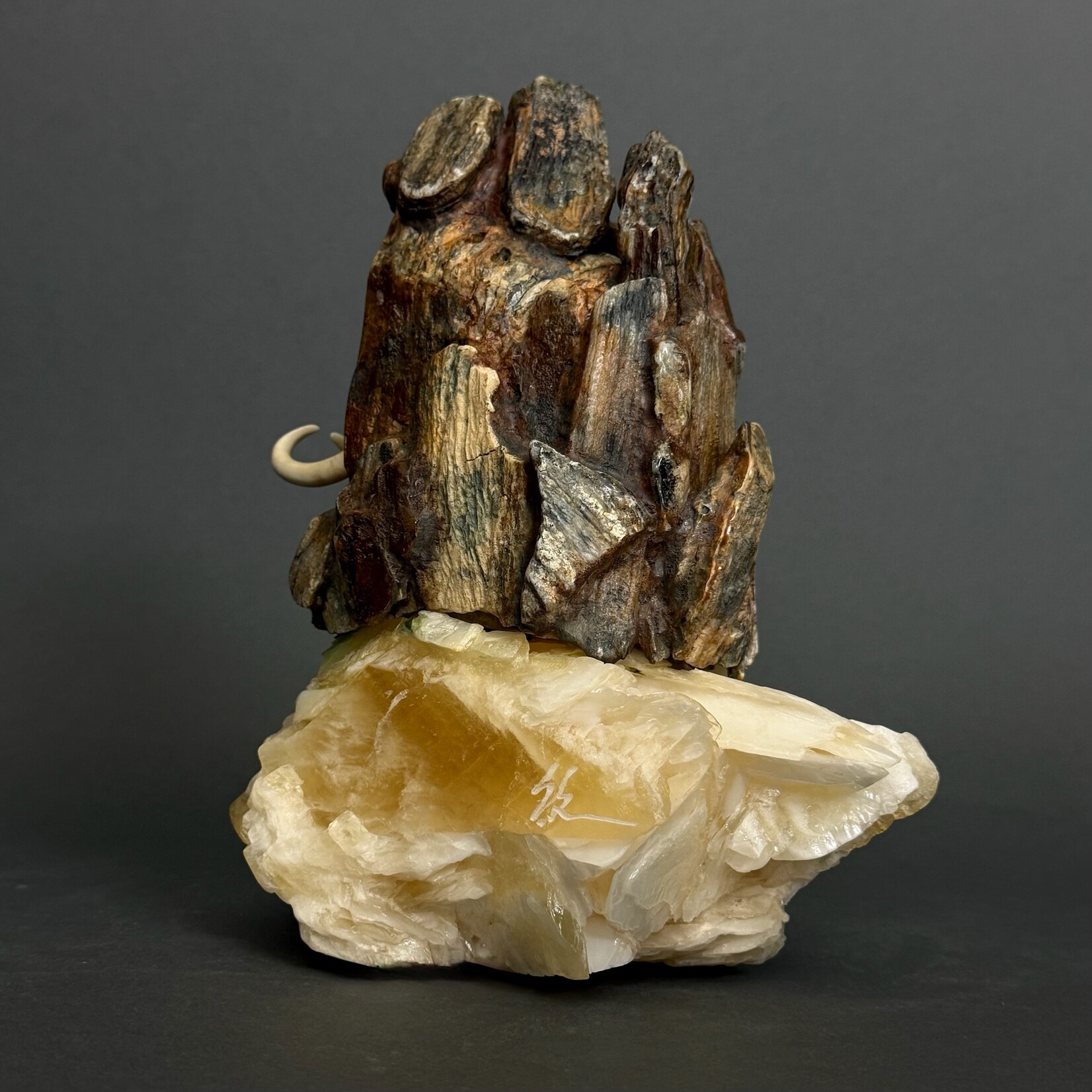 Eddie Lee Re-emerging Mammoth #068