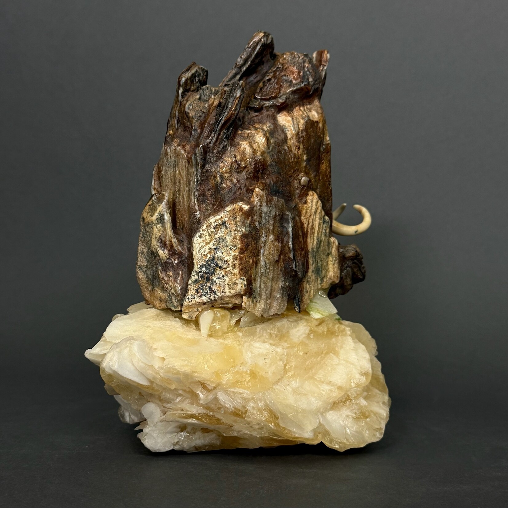 Eddie Lee Re-emerging Mammoth #068