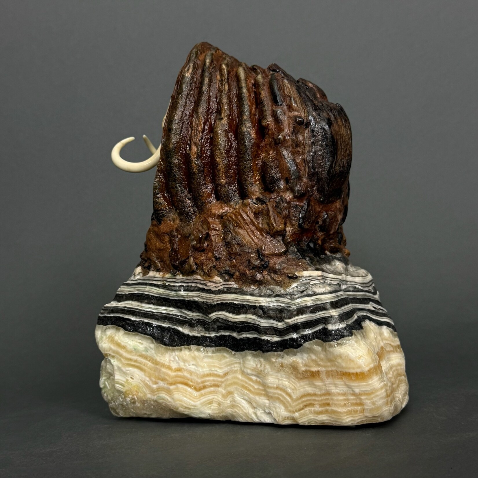 Eddie Lee Re-emerging Mammoth #075