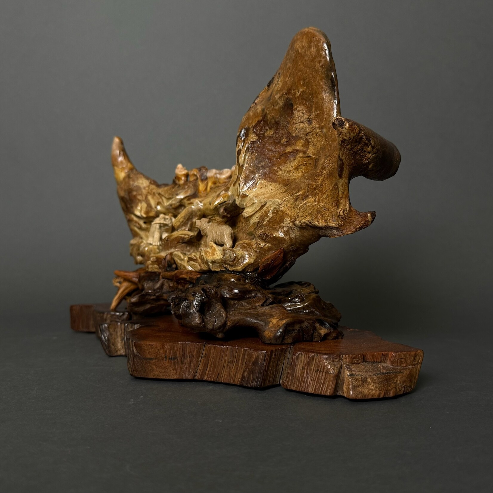 Eddie Lee Bears on Fossil Cave Bear Jaw #073