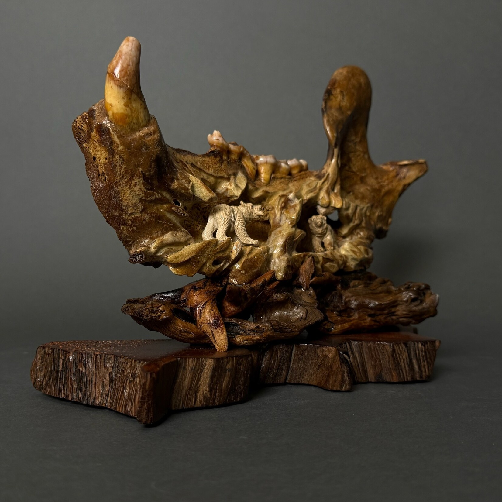 Eddie Lee Bears on Fossil Cave Bear Jaw #073