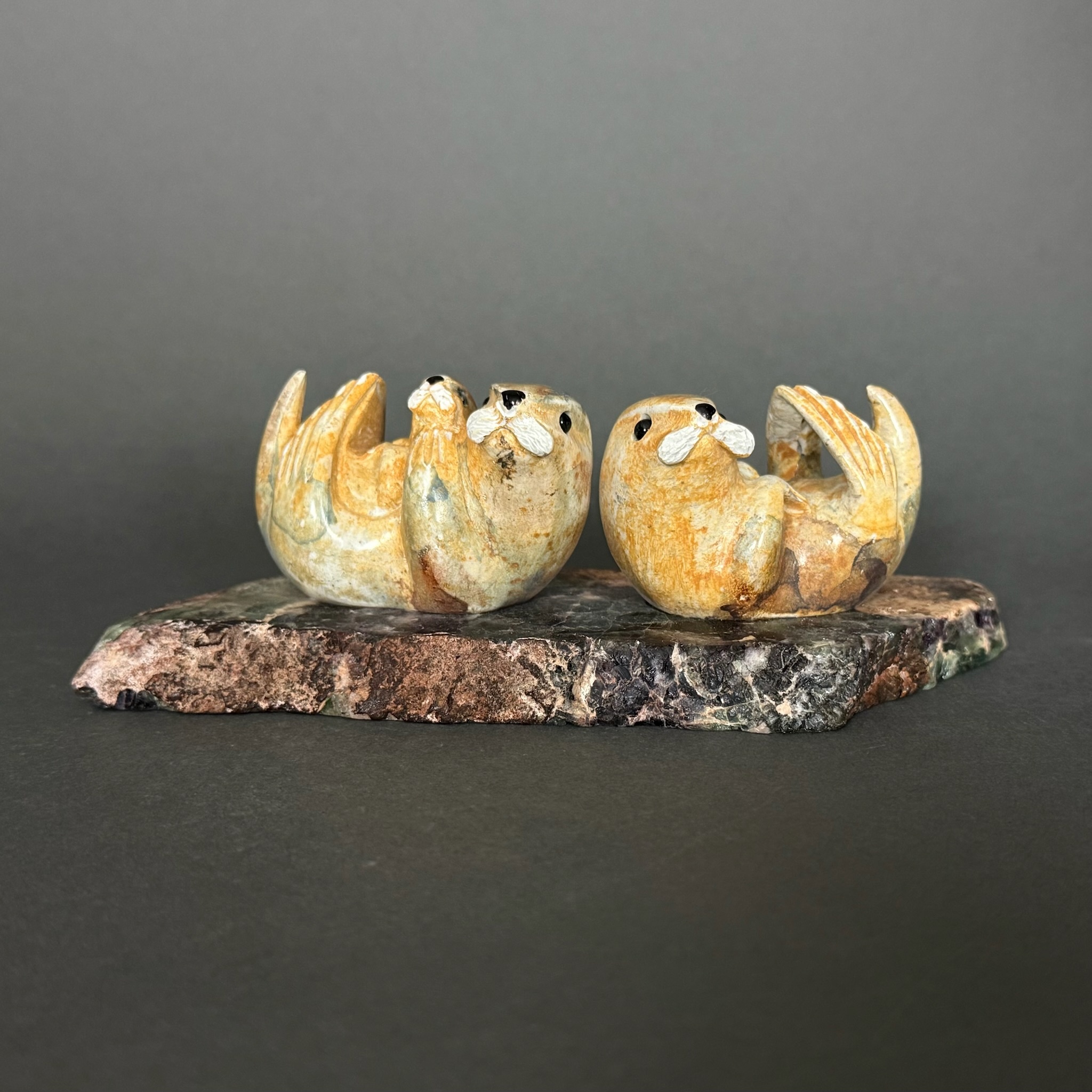 Sea Otter Family #365 - Fossil & Stone