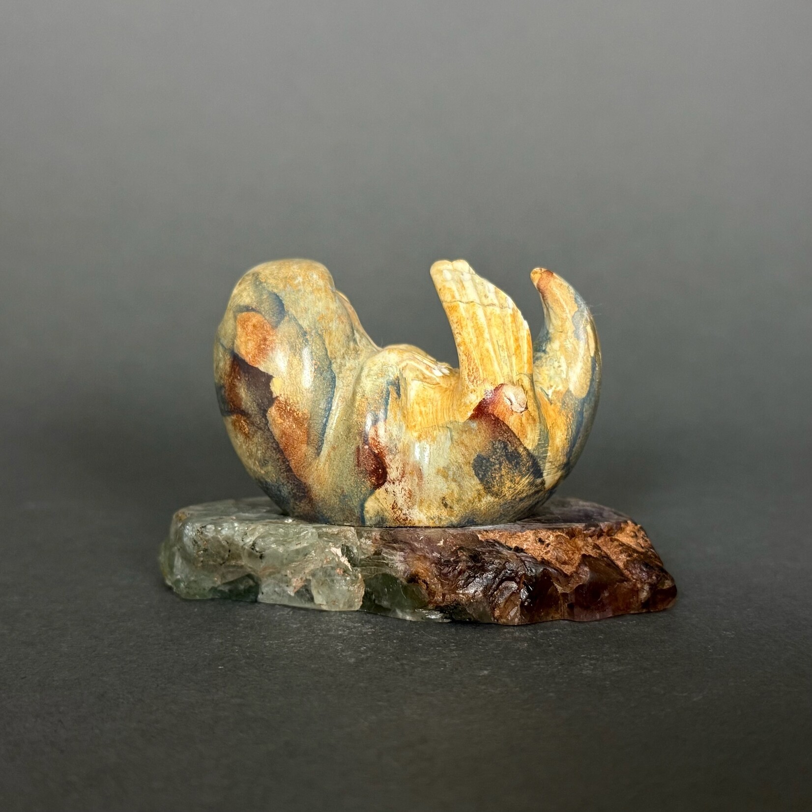 Sea Otter #363 - Fossil & Stone