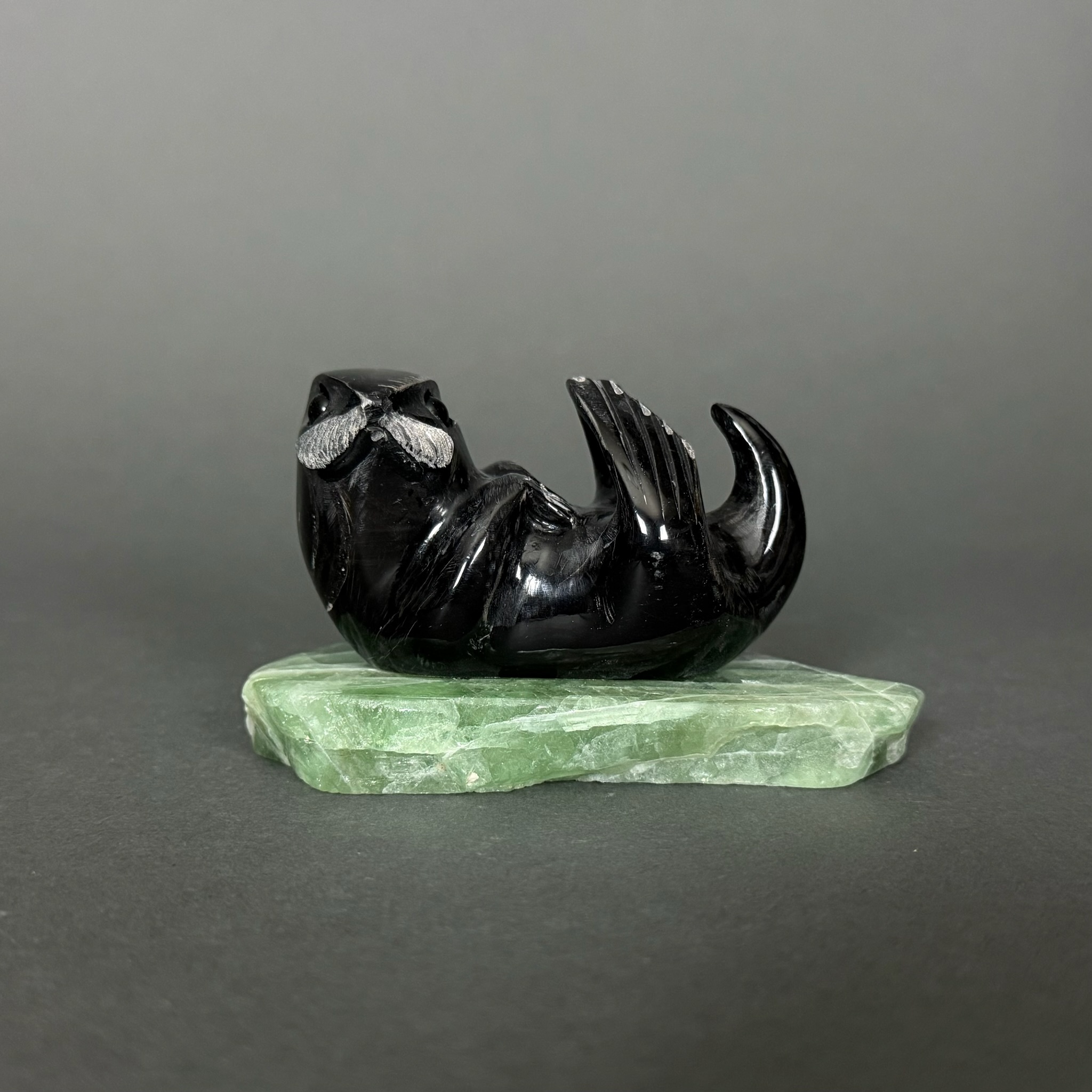 Sea Otter #342 - Fossil & Stone