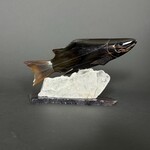 Eddie Lee Spawning Salmon #340